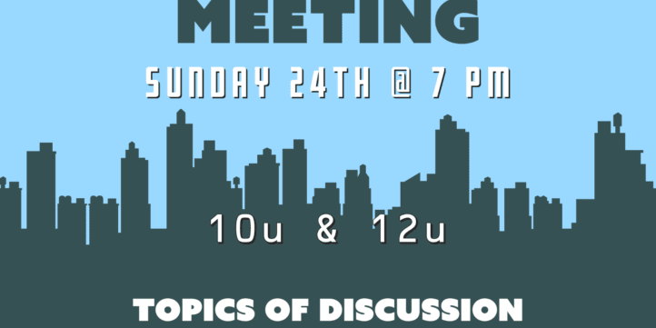 Blue and Grey Town Hall Meeting A5 Flyer (1)