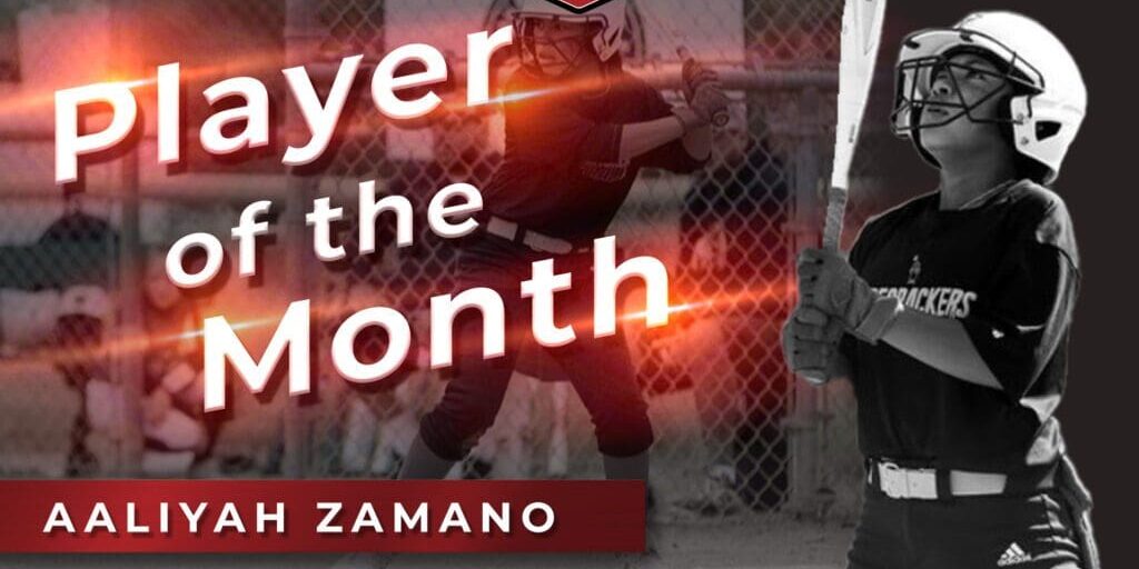 PCFL_Zamano